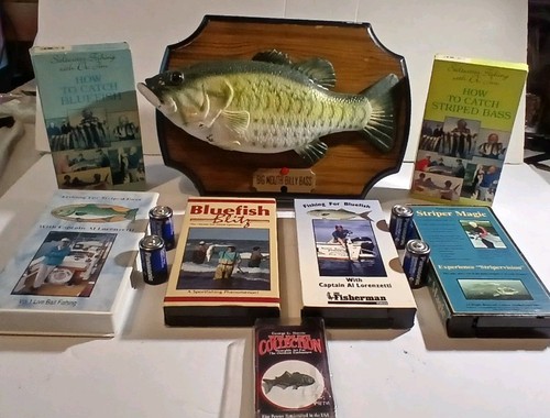 Big mouth billy bass - big,