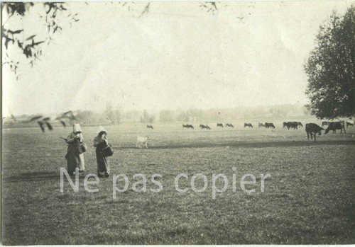 Paysannes aux champs 1900 - paysannes,
