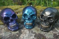 SK288   3  SUPER TETE MORT