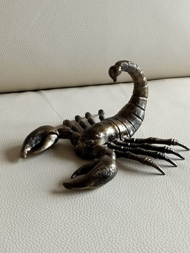 Scorpion résine cm - scorpion, en
