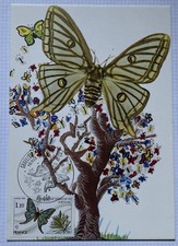 Carte Postale Premier Jour 1980 GRAELLSIA ISABELLAE