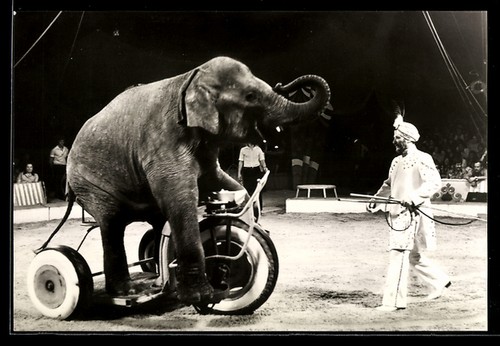 Carte postale gerhard - carte,
