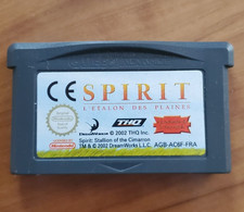 SPIRIT L'ETALON DES PLAINES