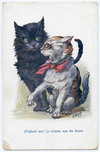 Illustrateur wuytz chats - illustrateur,