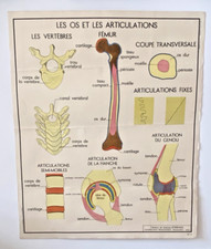 Ancien Carte Scolaire Rossignol  N°11 et N°12 Les Os /Les Accidents