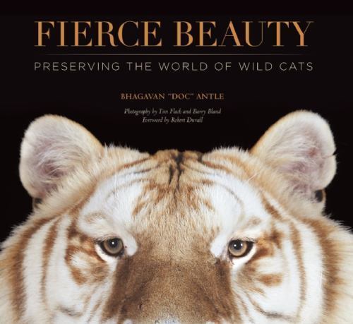 Fierce beauty preserving - beauty, the