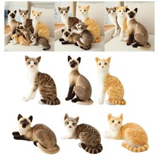 Jouet en peluche pour chat