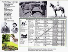 Famous English Race Horse Mare