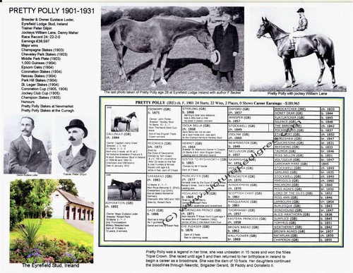 Famous english race horse - famous,