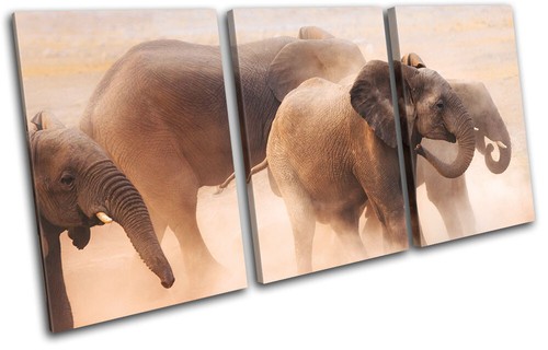 Baby elephant wild - elephant,