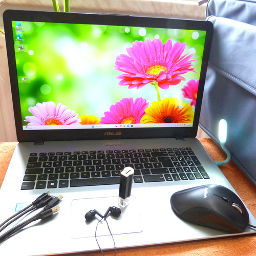 Asus n705 vivobook pro - vivobook, 17