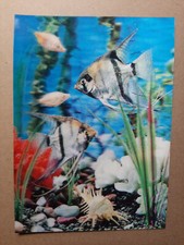 Carte postale lenticulaire 3D vintage 204, AQUARIUM 2, TOPPAN, Zurich, poisson