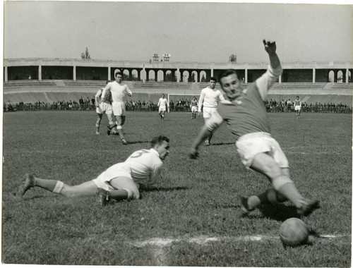 Photo stade gerland - gerland, lyon