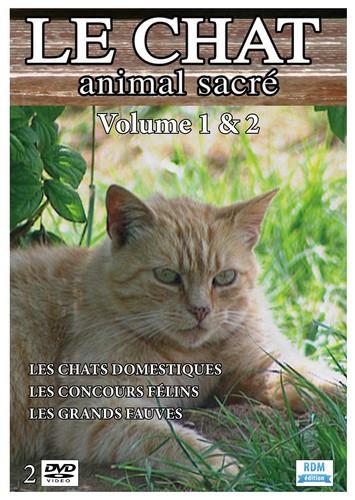 Dvd chat animal sacré - dvd, :