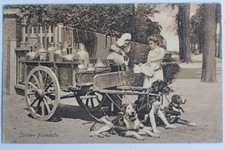 CPA Belgique Laitière Flamande Attelage de chiens (53636)