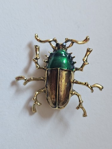 Broche scarabée insecte - broche,