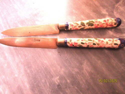 Couteaux fruits manches - a,