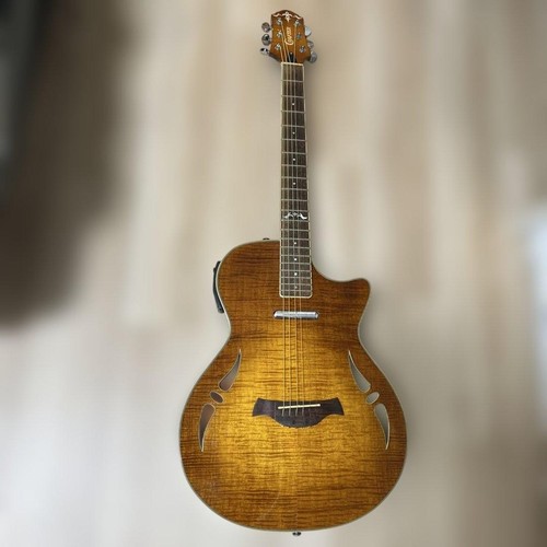 Guitare acoustique électrique