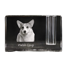 Pembroke Welsh Corgi - Porte Stylo , Kristallorganizer Avec Photo Chien, Unique