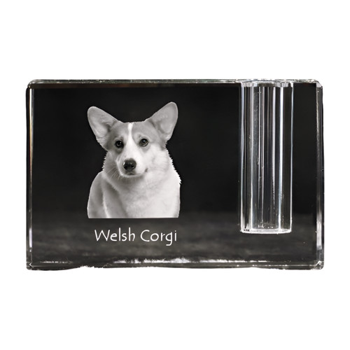 Pembroke welsh corgi - welsh,