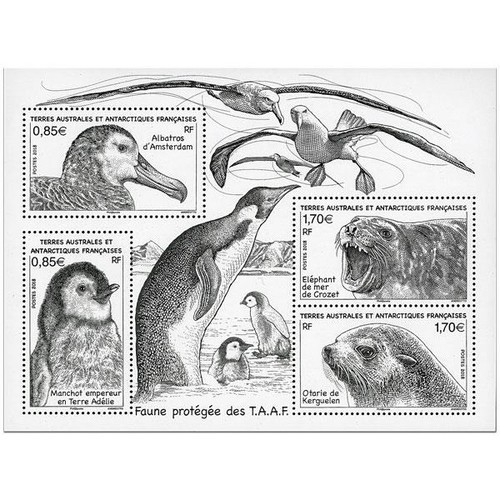 Timbres taaf bloc - timbres,