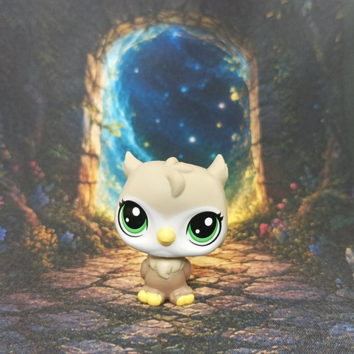 Hibou oiseau 177 - hibou, littlest