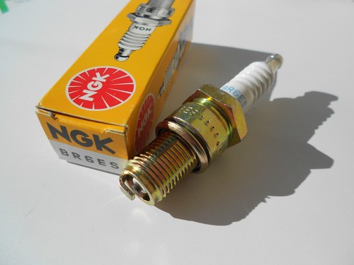Bougie ngk br6es - bougie, 750s