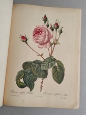 Portfolio Pierre-Joseph