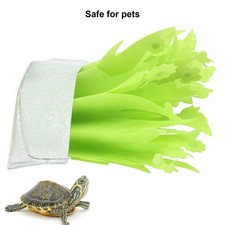 Boîte De Cachette De Tortue