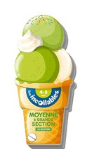 Incollables - Glace Moyenne à