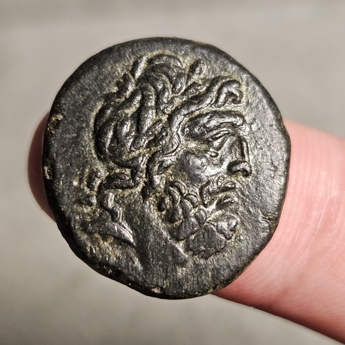 Sinope paphlagonia zeus - paphlagonia,