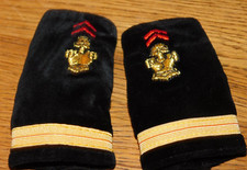 LOT GRADE militaire GALON