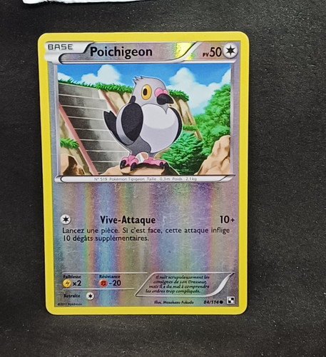 Poichigeon reverse b - poichigeon, noir