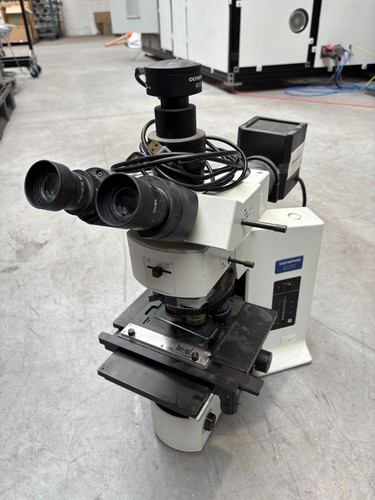 Microscope olympus bx51 - microscope,