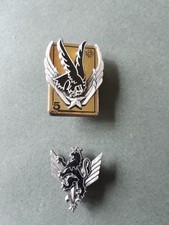 insignes des 5e et 6e RHC (