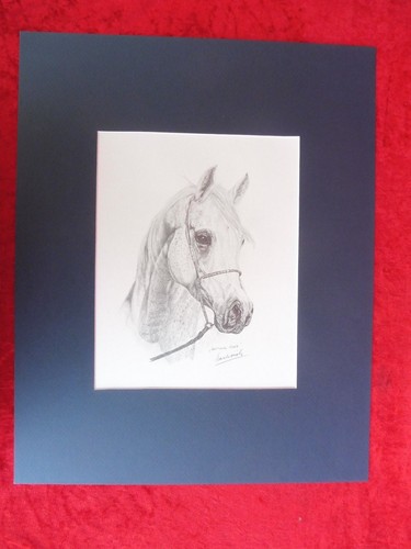 Beau tableau cheval dessin - beau,