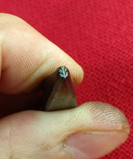 poincon matoir outil ancien graveur heraldique bijoutier joaillier L744