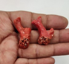 Pierre précieuse corail