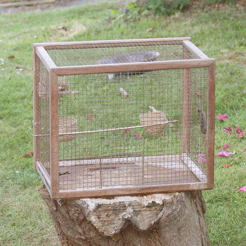 Cage oiseaux ancienne - à,