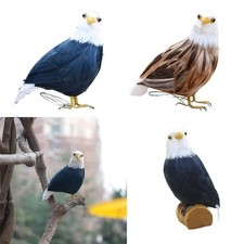 Aigle d'oiseau de plume