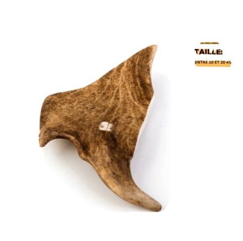 Bois daim taille - de, l