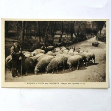 Cpa 65 Scènes et types des