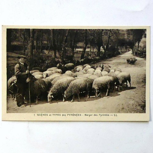 Cpa scènes types des - scènes,