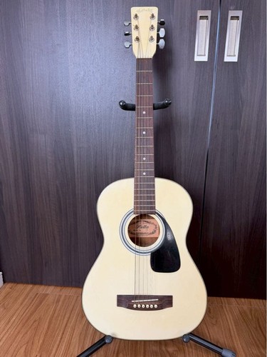 Rare takeharu guitar 150 - rare, wt-150