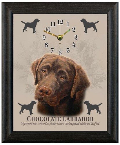 Chocolat labrador cadeau