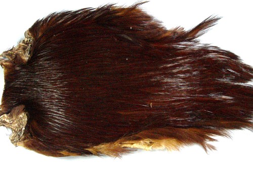 Cou coq indien brun roux - coq,