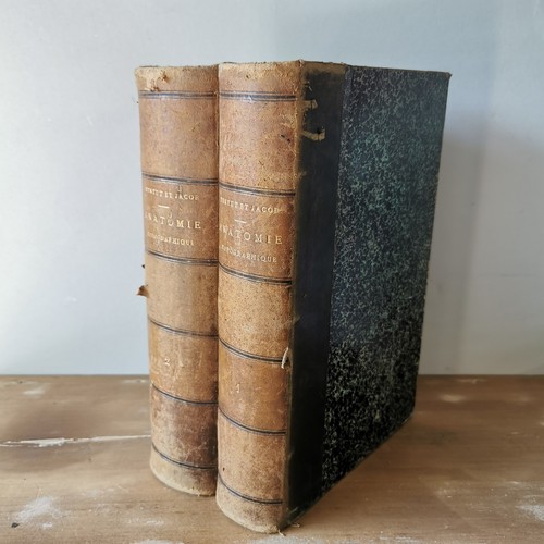 1905 testut jacob anatomie - testut,