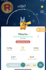 Shiny Pikachu Lucario Hat