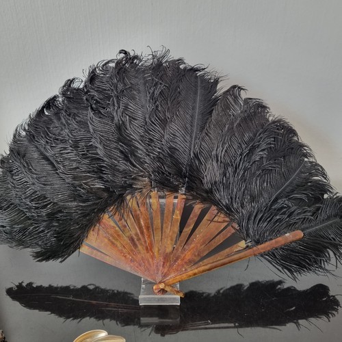 Eventail ancien plumes - eventail,