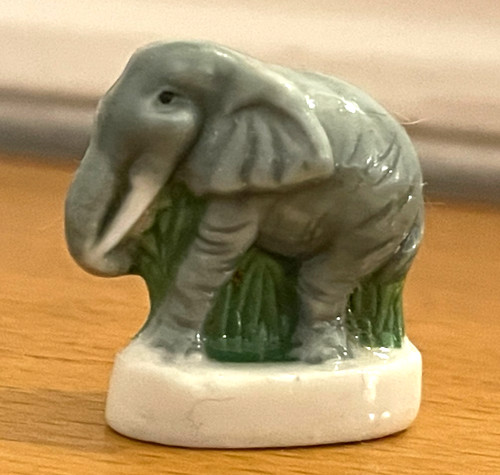 Fève eléphant afrique - fève,